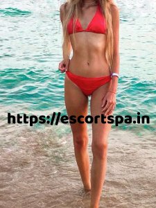 Zirakpur Escorts Service